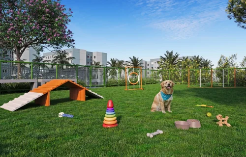 petplace-parque-ville-lirio-azul.jpg